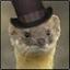 Quixotic Weasel avatar image