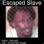 Escaped Slave