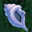 Magicz Conch