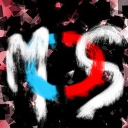The_MS
