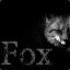 .::Fox::.