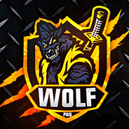 WolfPro.exe - steam id 76561199129411544