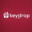 ReadyLizardo Key-Drop.pl
