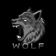 Wolf_evo9 - steam id 76561199071341150