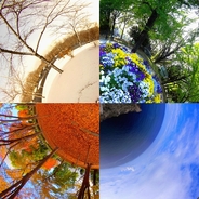The Four Seasons!
