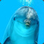 o.g. dolphin csgoempire.com