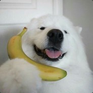 Собака с бананом