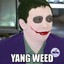 Andrew Yang Weed