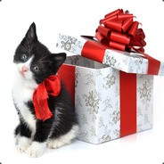 Cat Giveaways