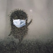 Hedgehog in the fog