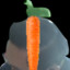 carrot fanboy1