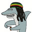 Reggae Shark