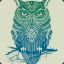 Azur Teh Owl