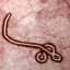 ebolunacja