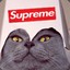 Supreme Cat