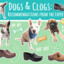 Dogs in Clogs