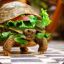 senior turtle