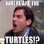 Where are the turtles!?