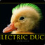 TheElectricDuck
