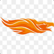 VNs-Phoenix profile PUBG