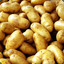 Potato Dynasty