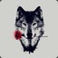 Shadow_Wolves895