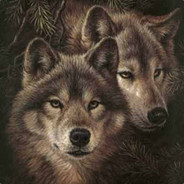 Wolf.family