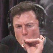 Elon Musk (on roids)