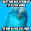 Alphadolphin :3
