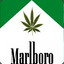 MarIboro