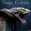 Naja__Cobra