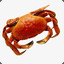 &#039;Crab
