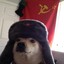 Russian_Doggo