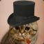 Gentleman_Cat