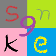 sn9ke - steam id 76561197960303504
