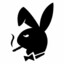 OOT | Bunny ist online