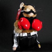 Hamster Puncher - steam id 76561197964455162