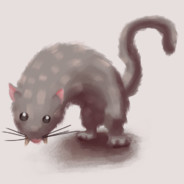 Quivering Quoll