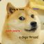 HELLO YES THIS IS DOGE
