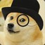 Soy DOGE broh