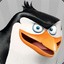 Rico Penguin