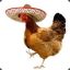 Pedro_The_Chicken