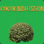 CocoEnBuisson