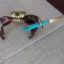 Crab with Knife