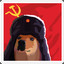 Soviet Doge