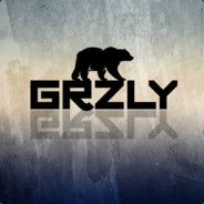 GRZLY - steam id 76561197963466157