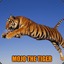 Mojo The Tiger #PrayForHumanity