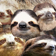Sloth Motherland