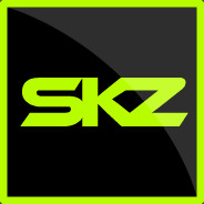 SKZ - steam id 76561197973302419