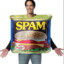 PAM THE SPAM